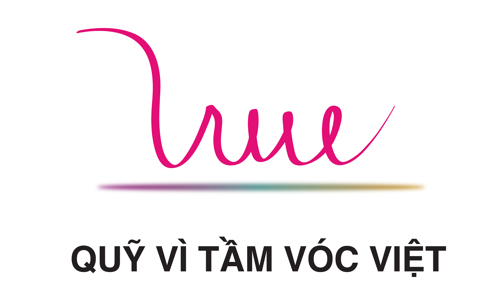 Quỹ Vì tầm vóc Việt